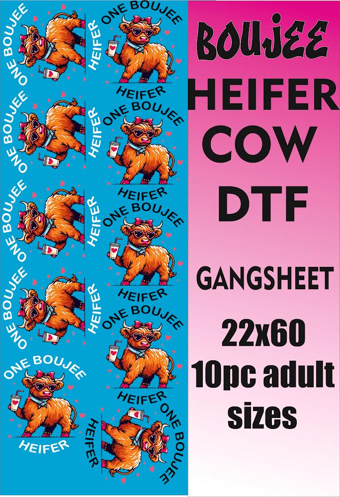 One boiler heifer 22x60 gangsheet 10pcs